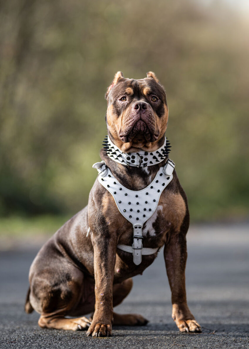 12 - TSK_2122-Edit-2