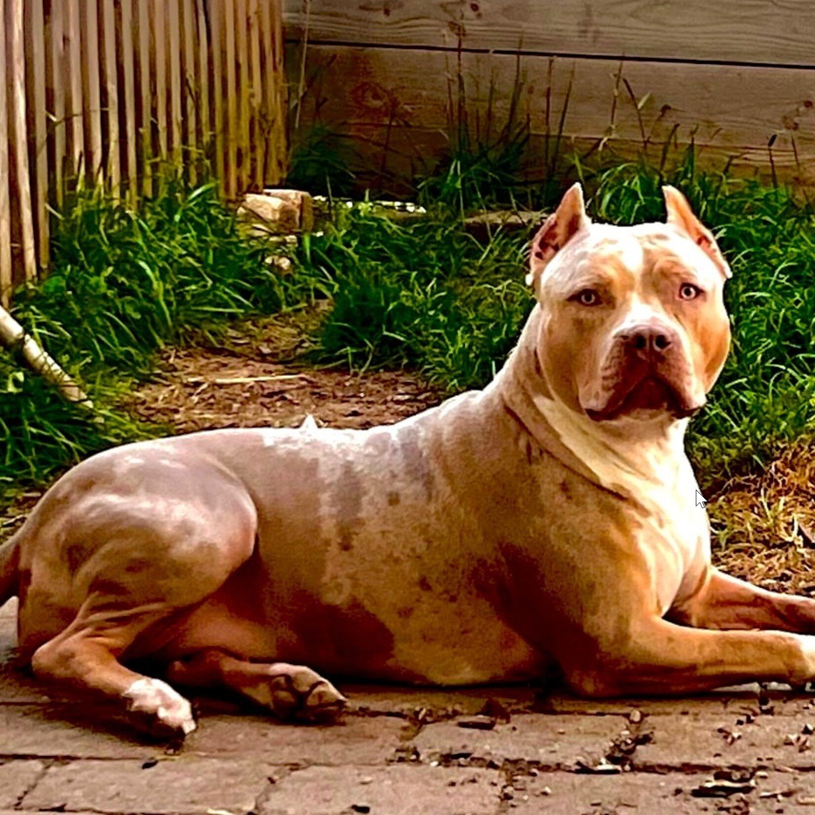 screen-07.11.2025-18-13 (2)