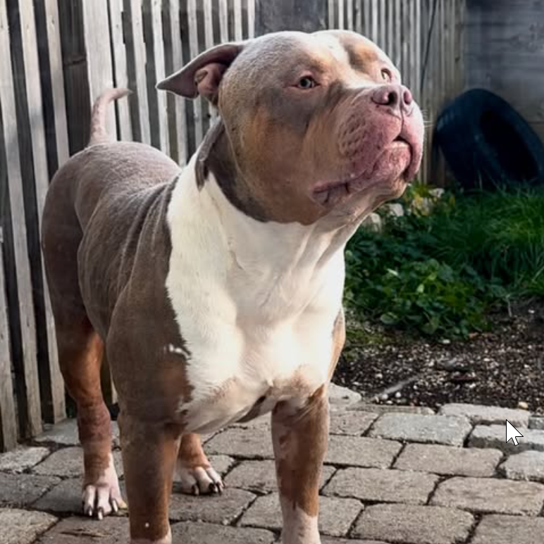 screen-09.11.2025-14-59