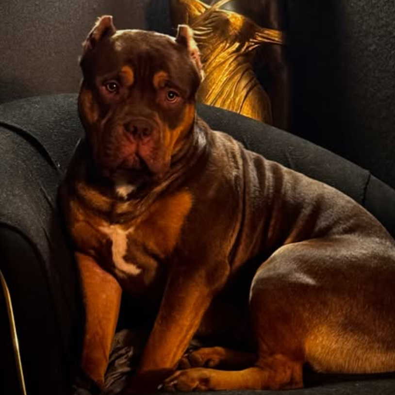 screen-09.11.2025-15-00