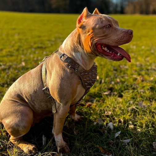 screen-09.11.2025-16-06