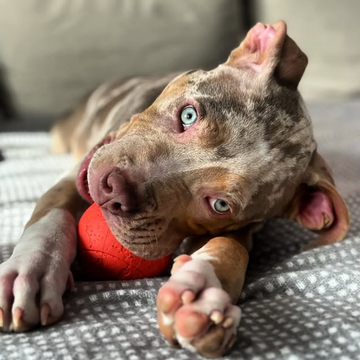 screen-09.11.2025-16-08