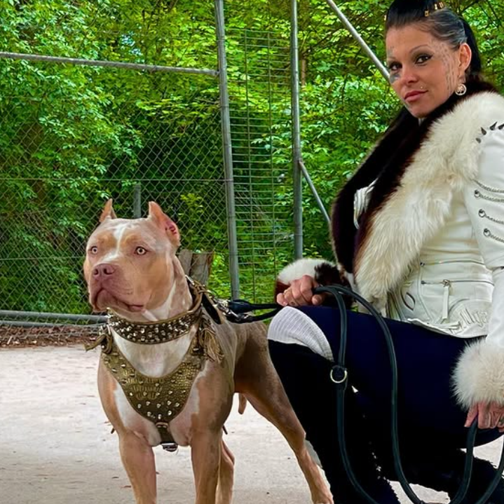 screen-09.11.2025-16-13