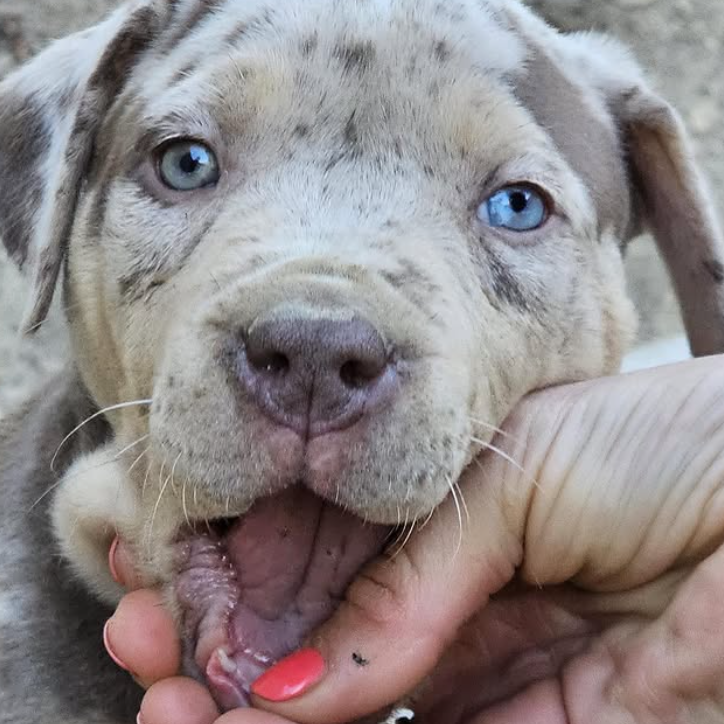 screen-09.11.2025-18-19