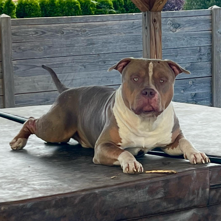 screen-09.11.2025-18-20