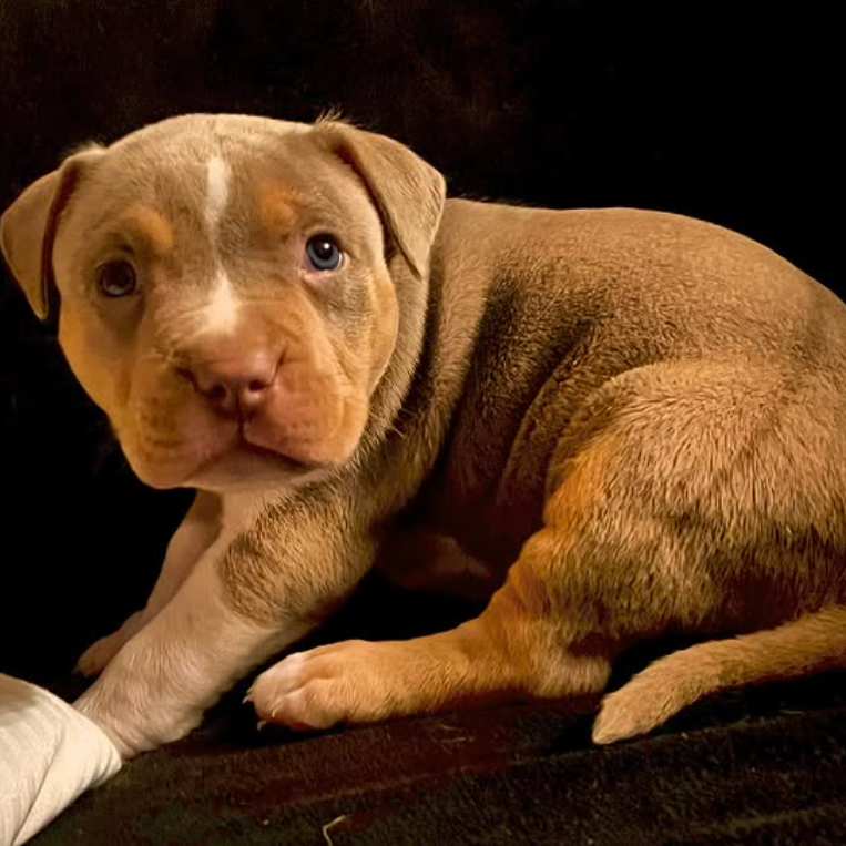 screen-09.11.2025-18-21