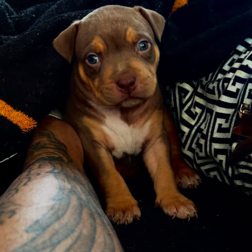 screen-09.11.2025-18-26