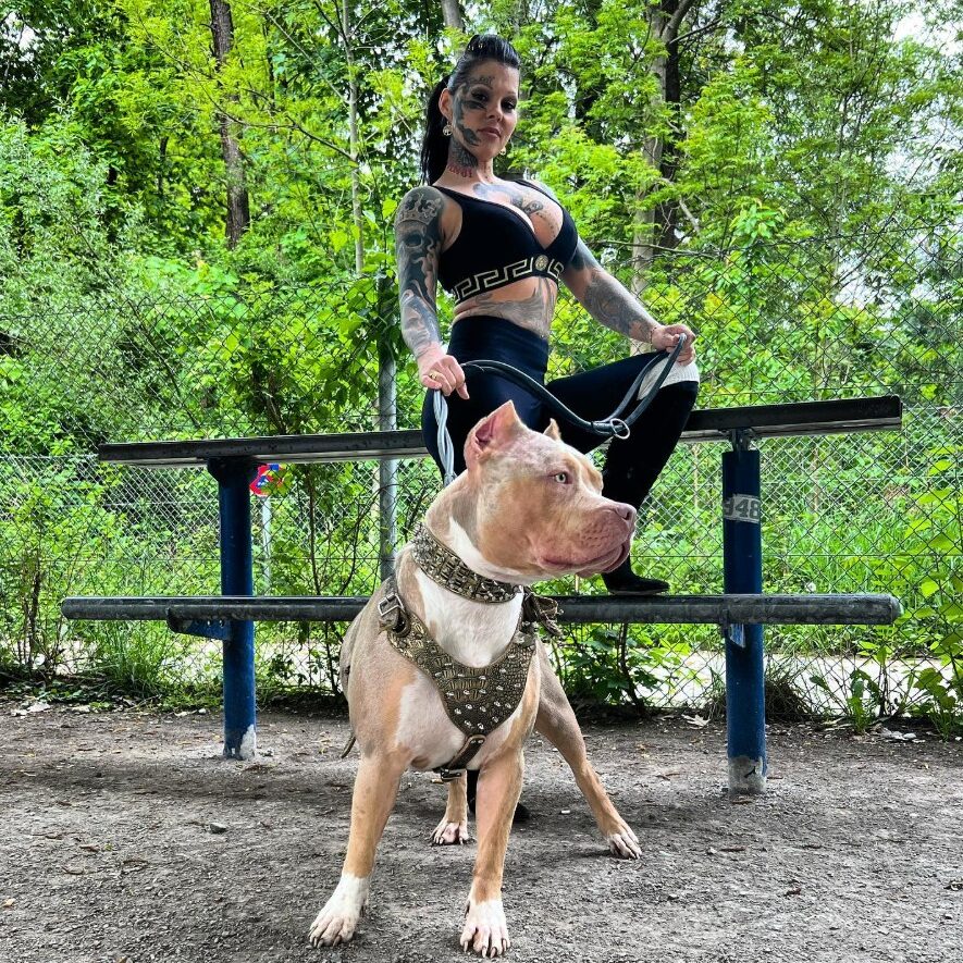 screen-09.11.2025-18-27