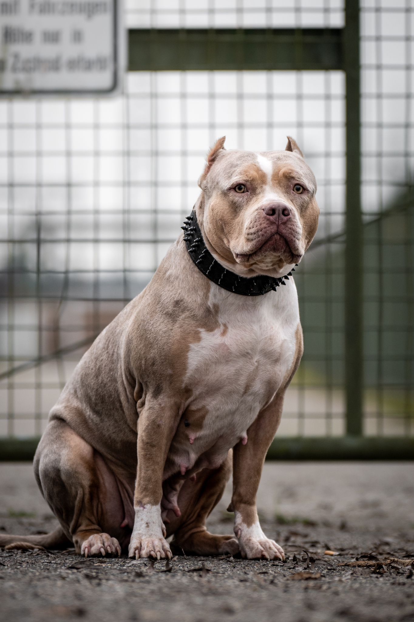 WhatsApp Image 2025-12-18 at 10.42.35 (1)