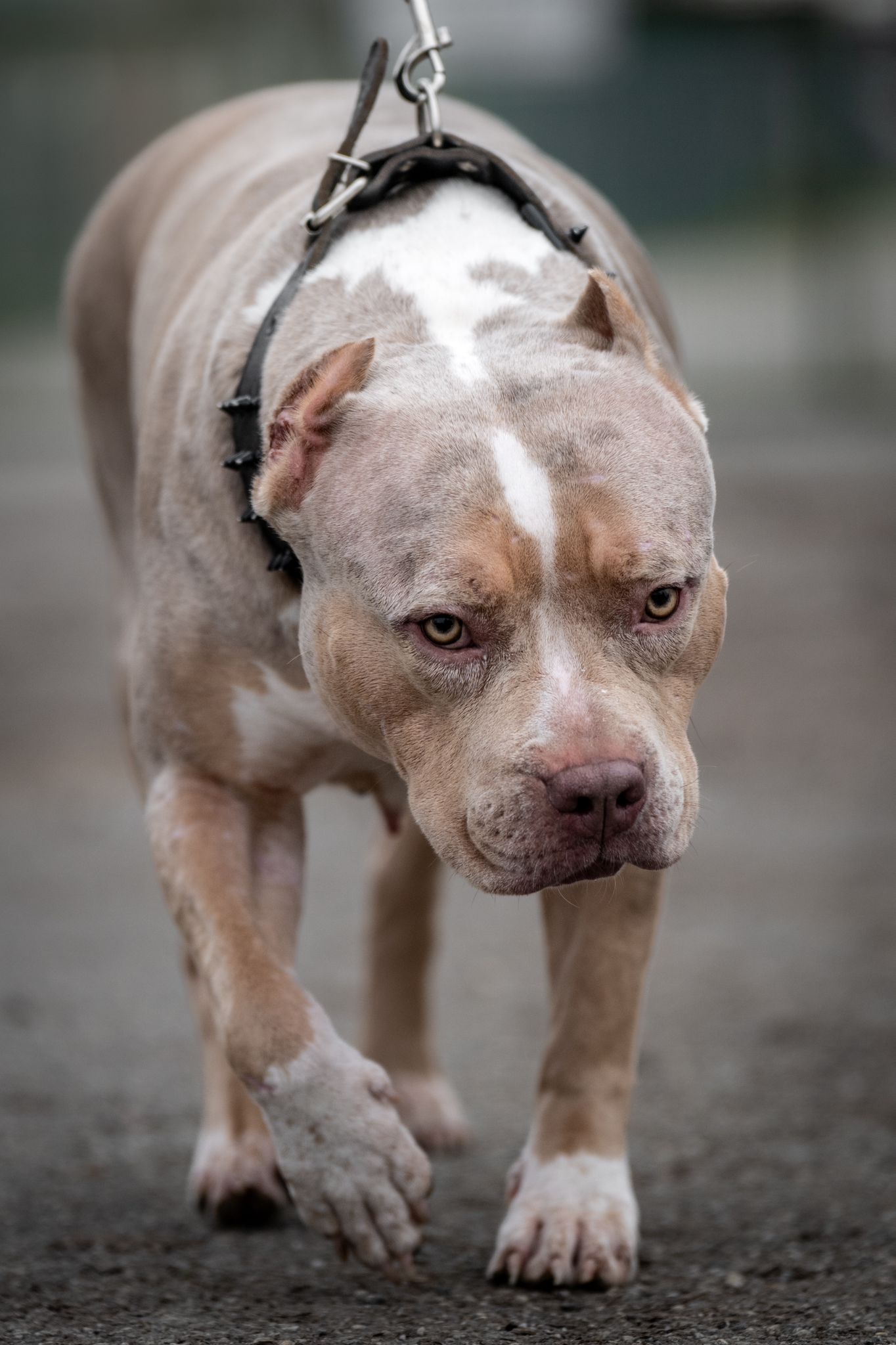 WhatsApp Image 2025-12-18 at 10.42.35 (2)