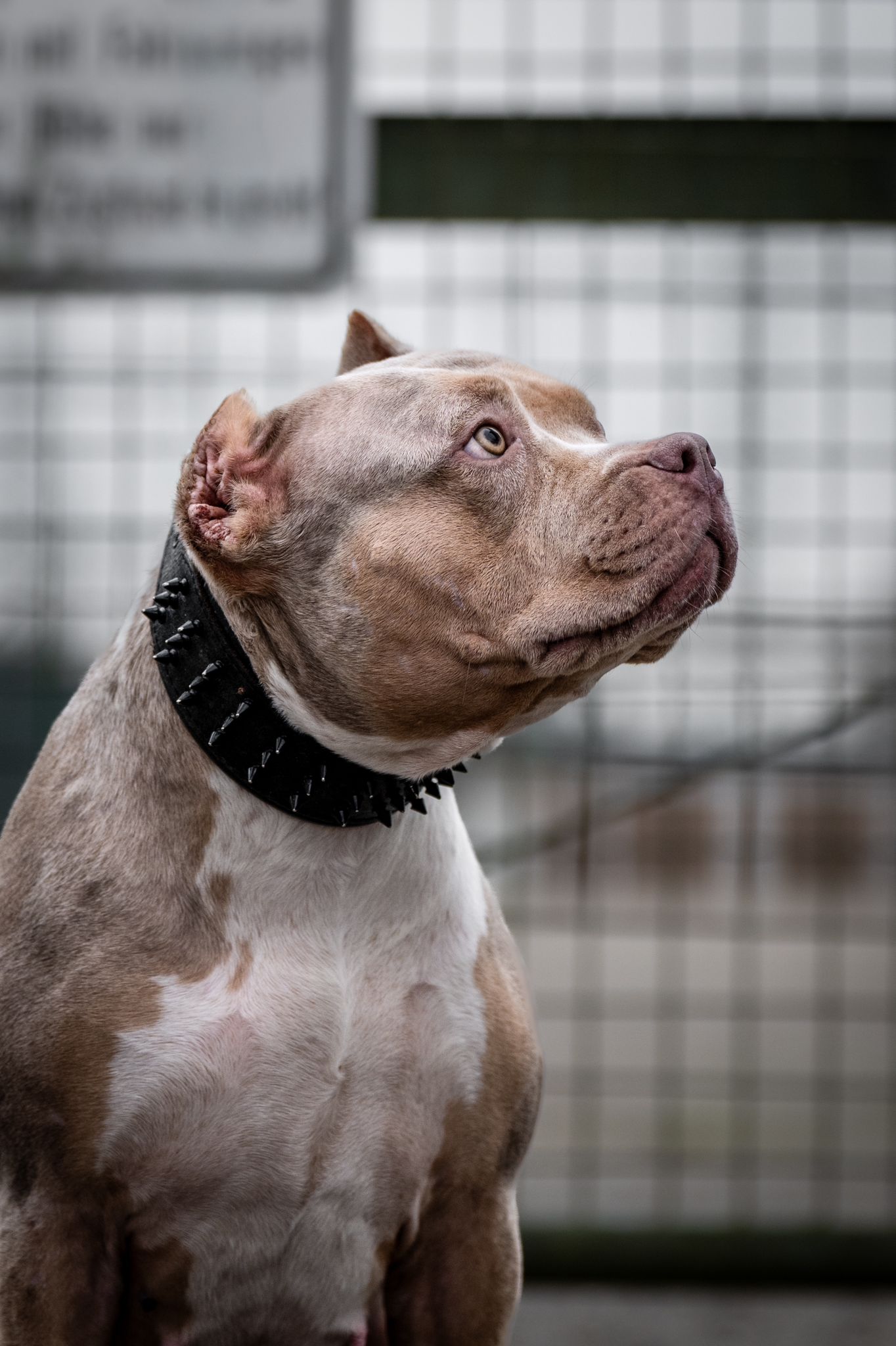 WhatsApp Image 2025-12-18 at 10.42.35