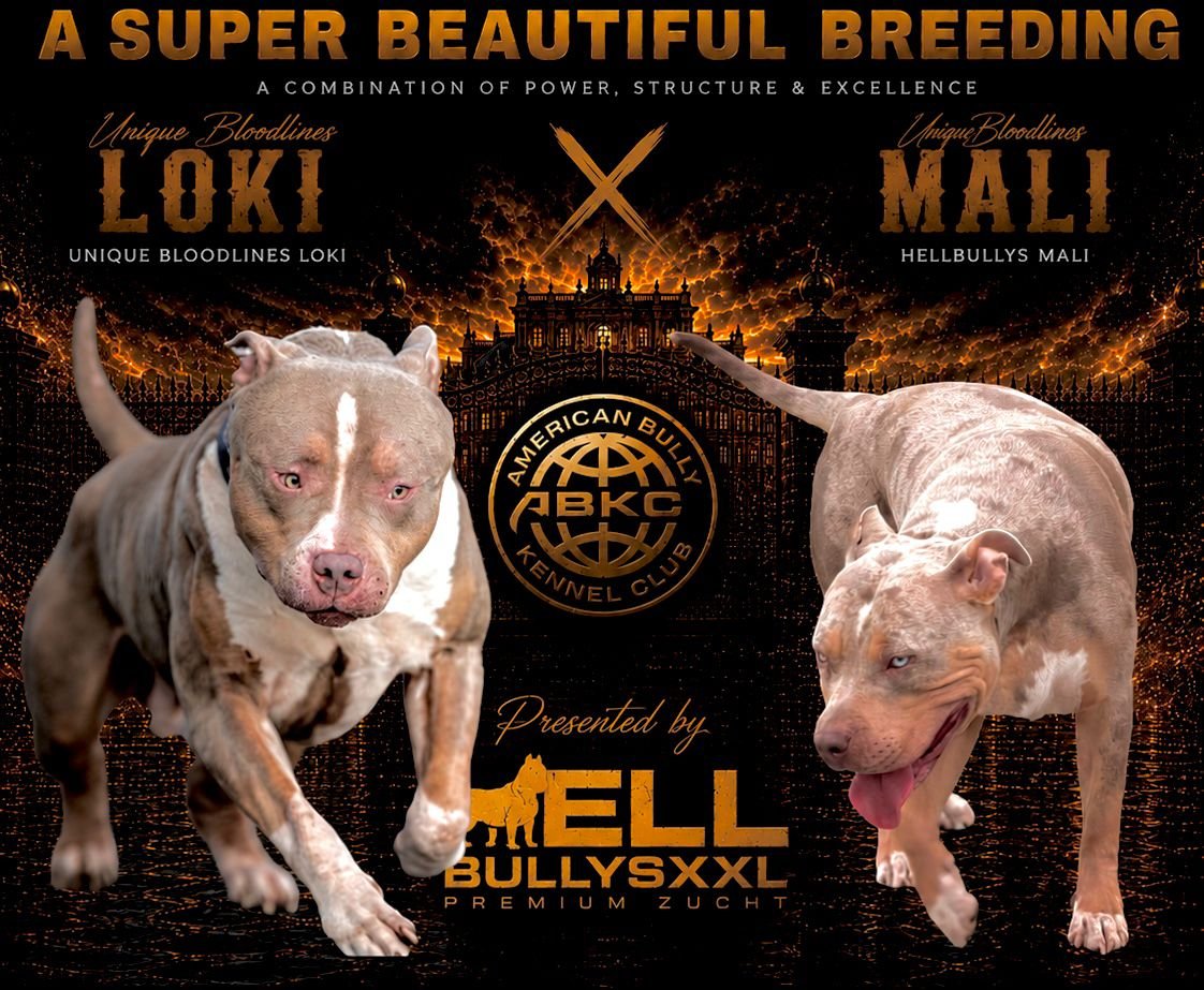 Loki × Mali